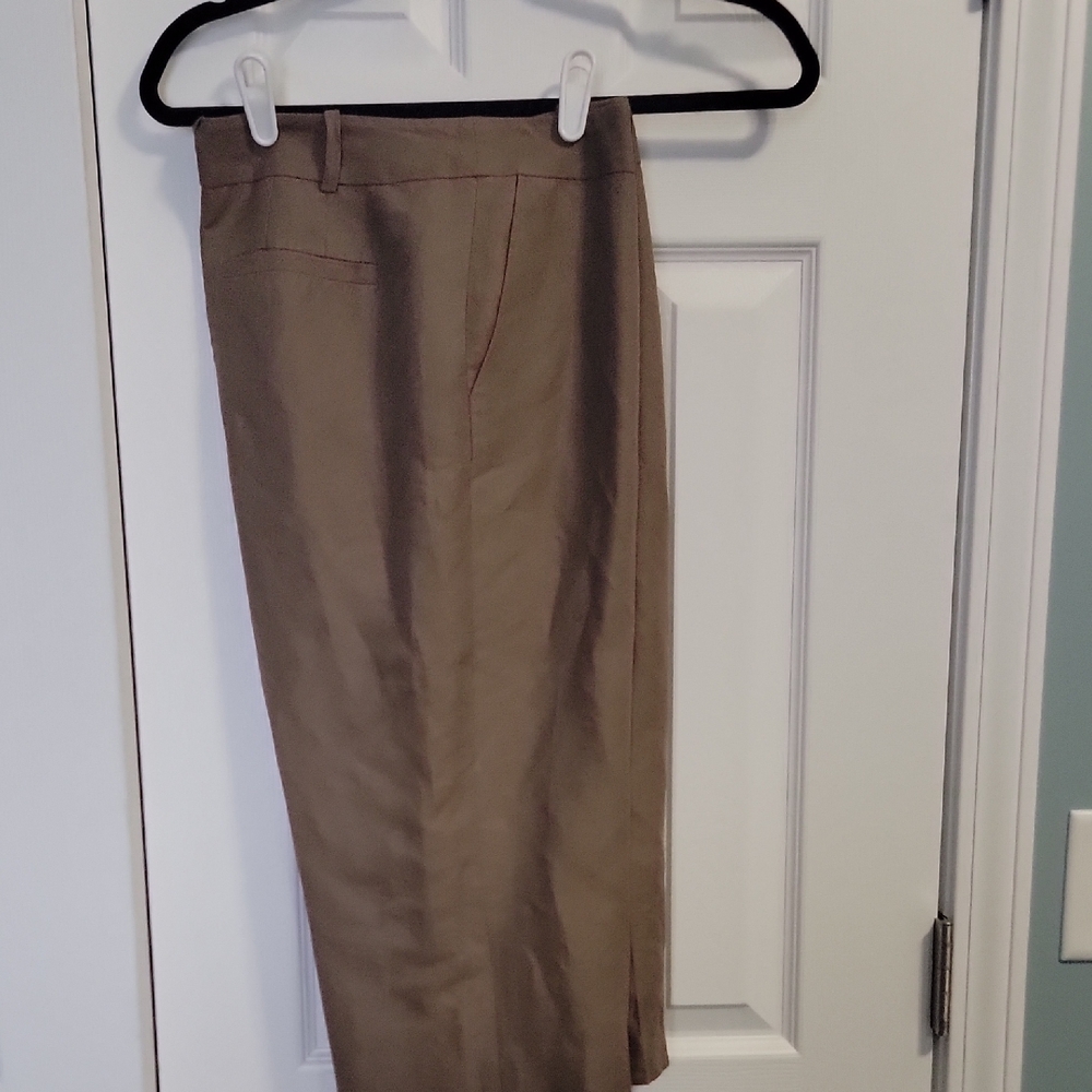 Nwot LOFT Women's Tan Coulotts Shorts Nwot